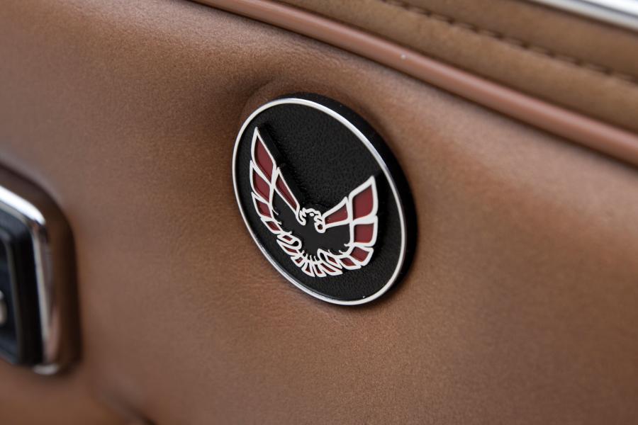  Pontiac Firebird Trans Am Coupe 1979 года  (фото 11 из 21)